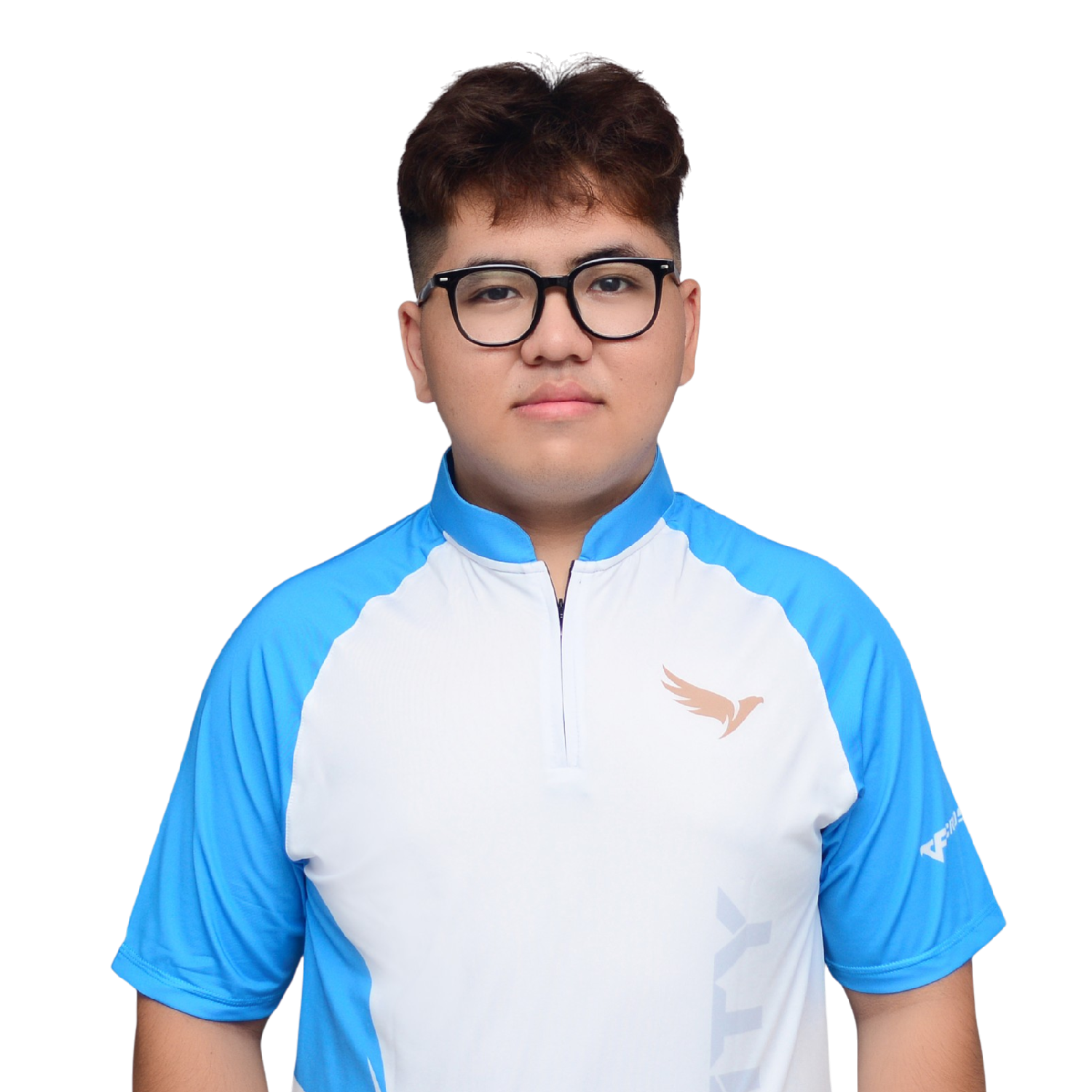 MemberAvatar